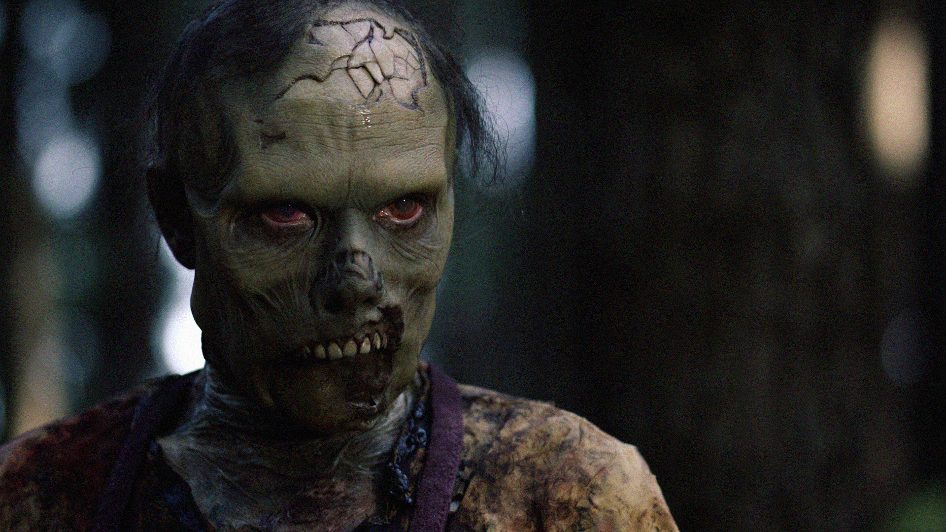 Mateo - Newtopia Studios LLC ©2024 All rights reserved