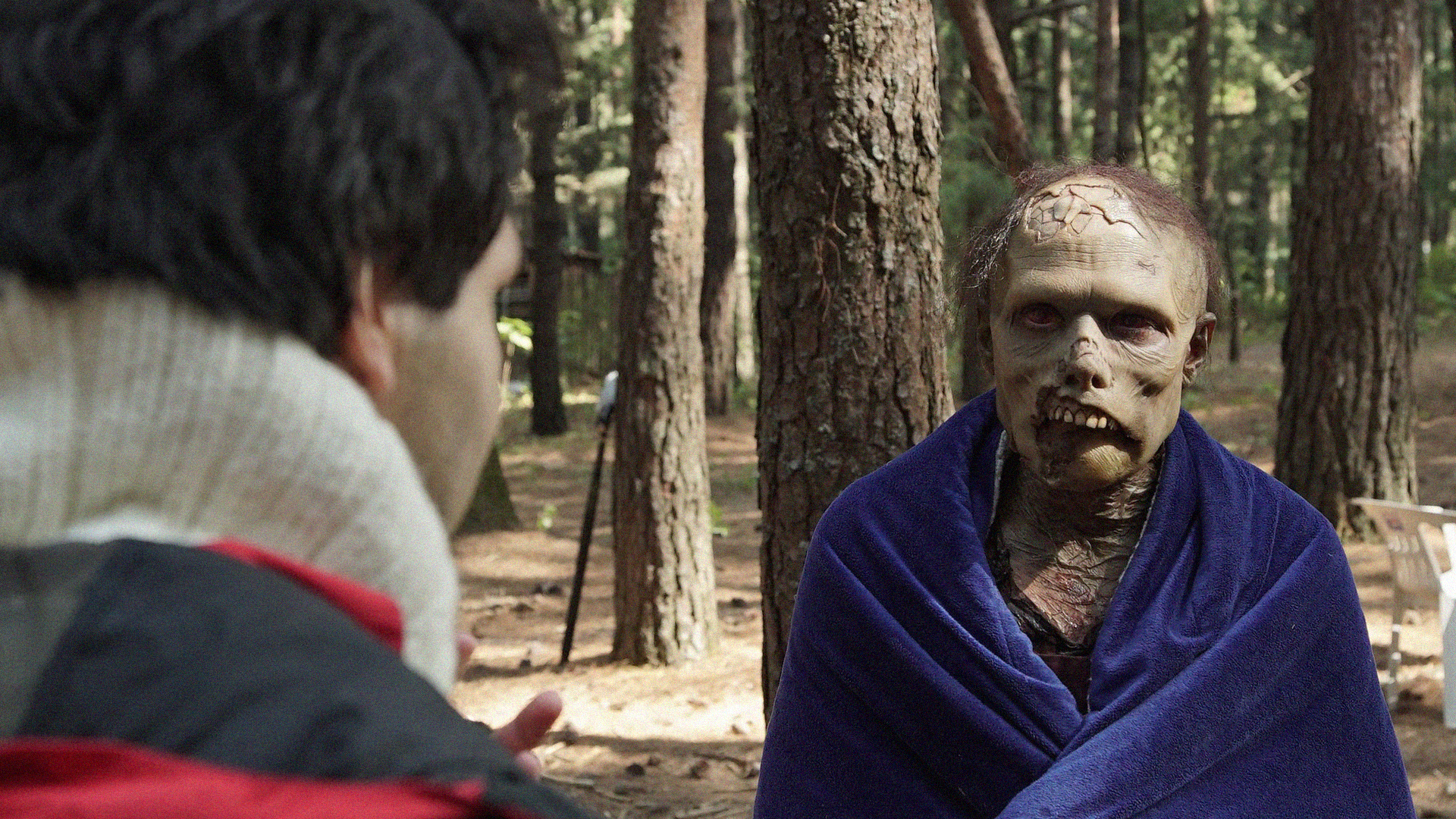 Mateo - Newtopia Studios LLC ©2024 All rights reserved