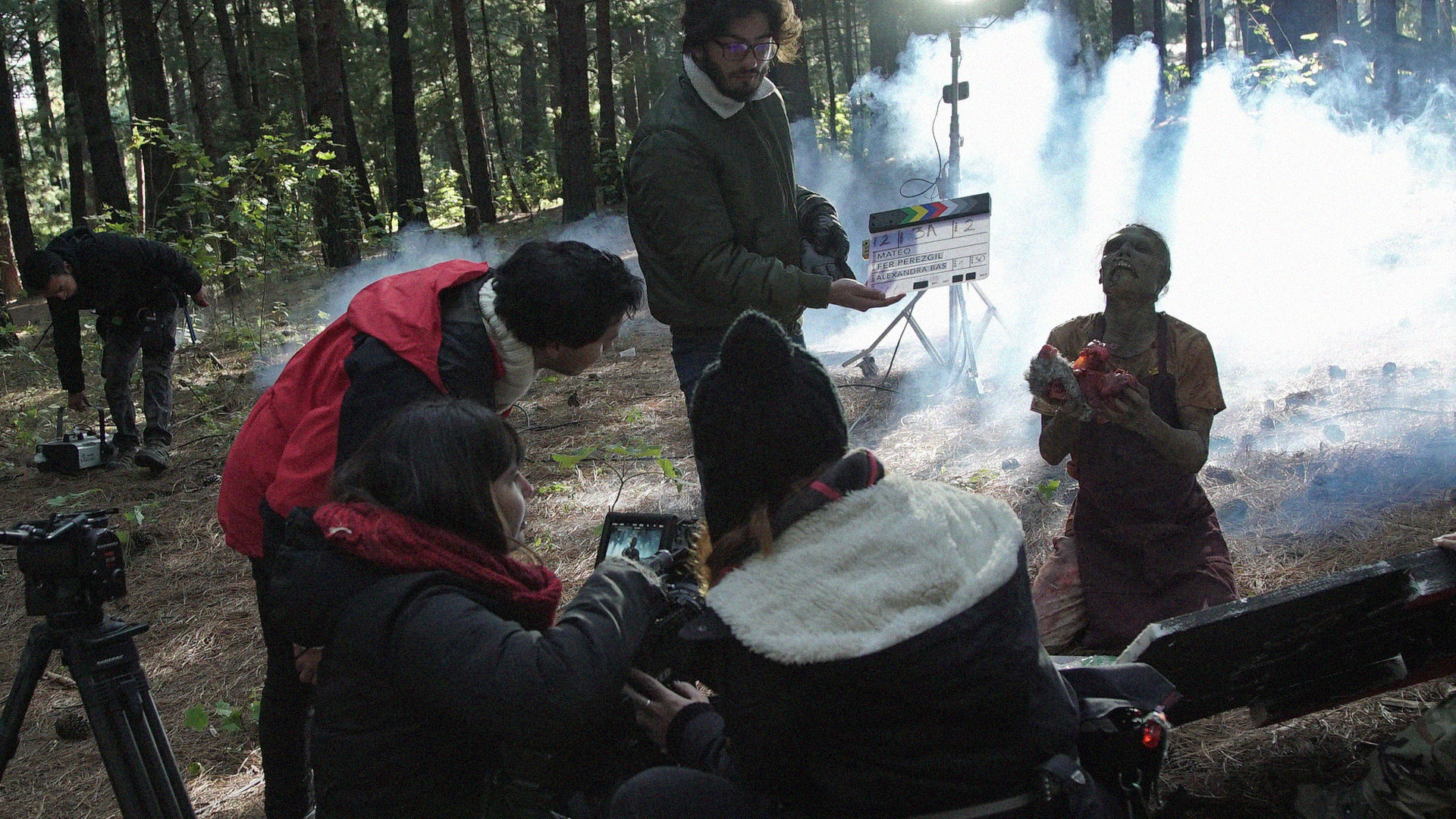 Mateo - Newtopia Studios LLC ©2024 All rights reserved